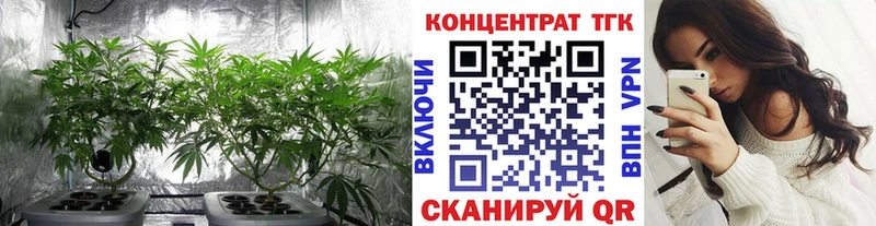 Дистиллят ТГК вейп с тгк  omg как войти  Короча 