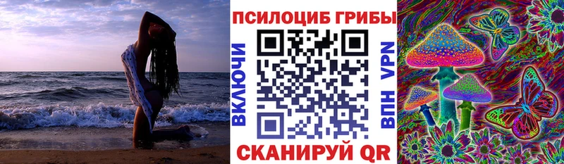 Галлюциногенные грибы Cubensis  мега маркетплейс  Короча 