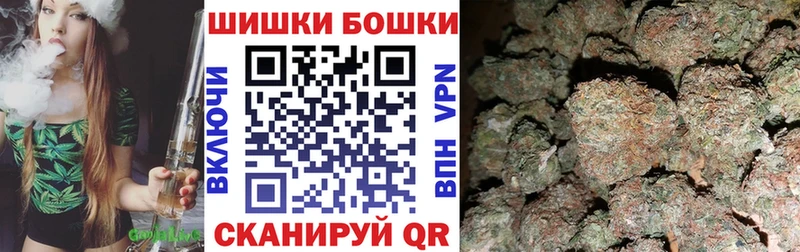 Бошки Шишки планчик Короча